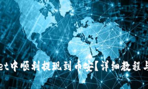 如何在TPWallet中顺利提现到币安？详细教程与常见问题解答