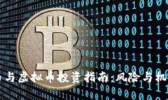 雷达币与虚拟币投资指南：风险与机遇分析