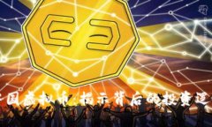 马斯克投资中国虚拟币：揭示背后的投资逻辑与