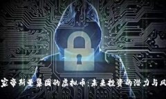 荷兰皇家帝斯曼集团的虚拟币：未来投资的潜力