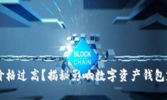 TPWallet价格过高？揭秘影响数字资产钱包定价的因
