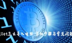 tpwallet怎么导入电脑：详细步骤与常见问题解答