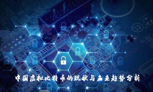 中国虚拟比特币的现状与未来趋势分析