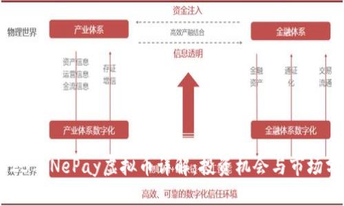 2023年NePay虚拟币详解：投资机会与市场分析
