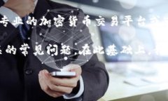 注意: 关于IP虚拟币的具体价格因市场波动而异，