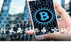 虚拟SNB币全解析：什么是SNB币，它的应用前景和