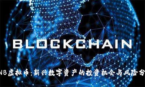 XNB虚拟币：新兴数字资产的投资机会与风险分析