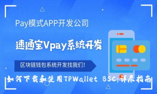 如何下载和使用TPWallet BSC：详尽指南