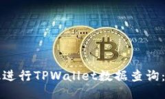 如何高效进行TPWallet数据查询：全面指南