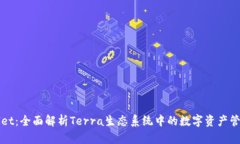 TPWallet：全面解析Terra生态系统中的数字资产管理